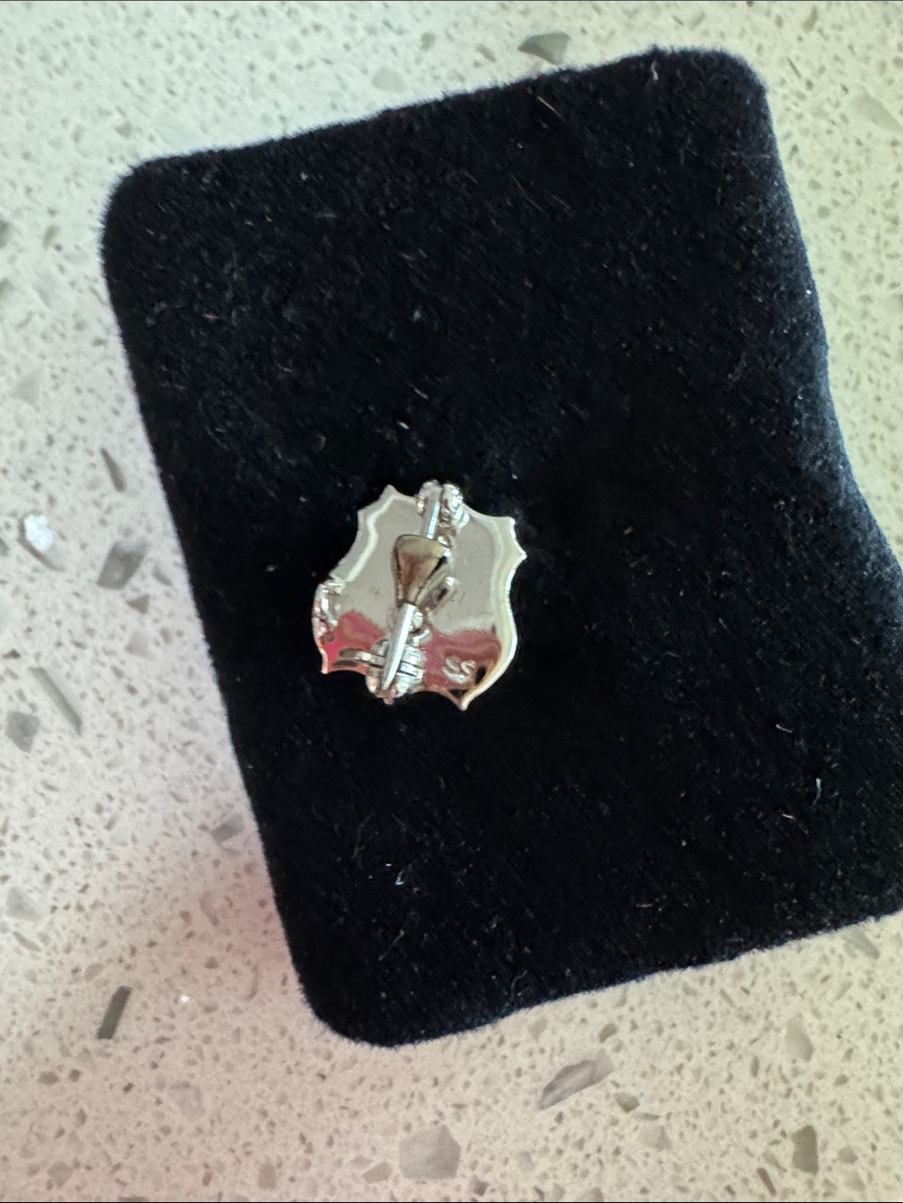 Zeta Tau Alpha Silver Shield Crest pinAccent with Crown Detail - Picture 2 of 4